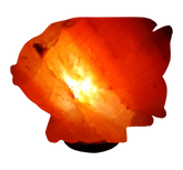 Fish Shape Salt Lamp - StonesWork